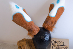 Custom Costumes Products