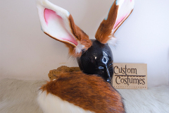 Custom Costumes Products