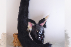 Custom Costumes Products