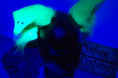 Custom Costumes Products