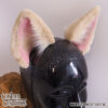 Fox in Blond and Pink Ears and/or Tail - Image 4