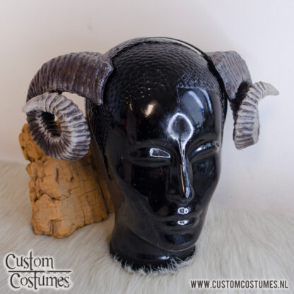 Ram curled in Brown and Beige Horns, Custom Order - Image 2